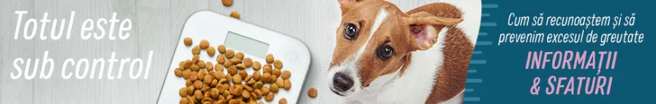hrană light & dietetică pentru câini