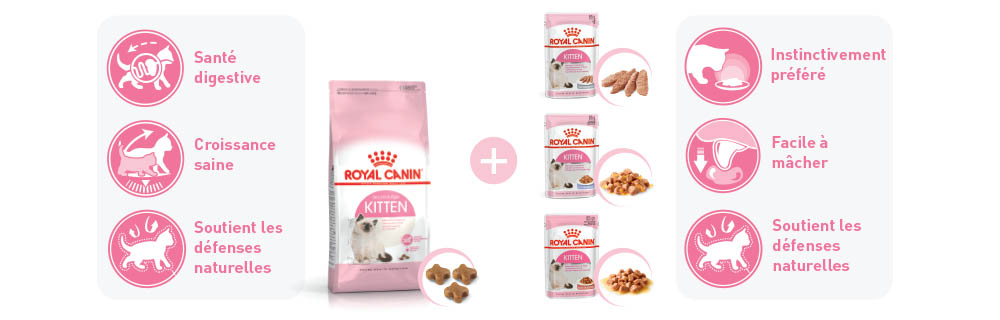 Recevez votre coffret Royal Canin pour chaton en cadeau !