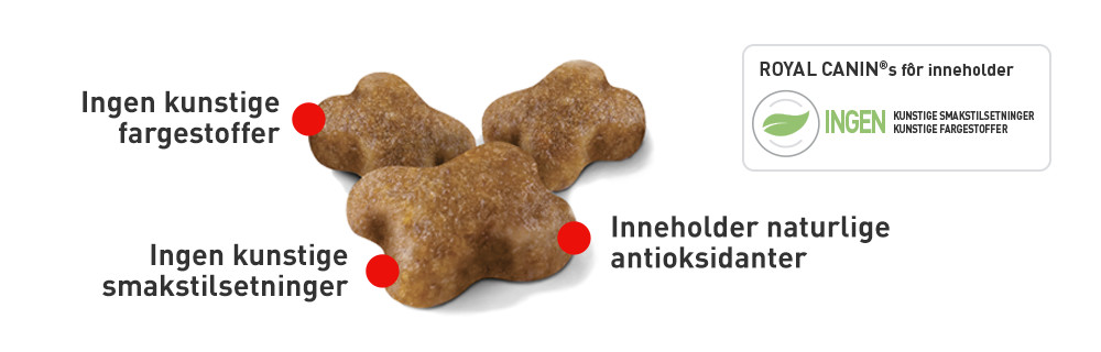 Tailor-made kibble for small mouths