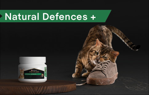PRO PLAN Cat Natural Defences