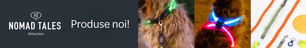Produse luminoase pentru câinele tău de la Nomad Tales