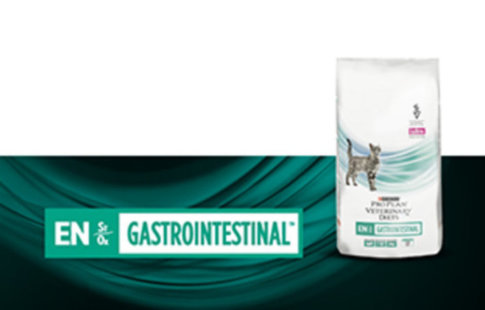 Purina Pro Plan Veterinary Diets Feline EN ST/OX - Gastrointestinal