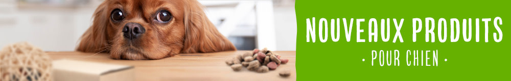 Découvrez les nouveaux produits pour chiens