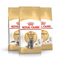 Royal Canin Croquettes pour Chats selon la race