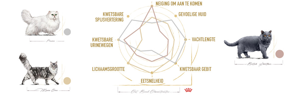 Each breed has specific health sensitivities