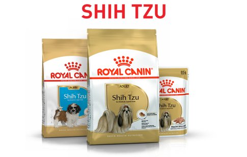 Royal Canin para perros Shih Tzu