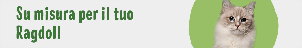 Cat Breed Ragdoll 1000x160 IT