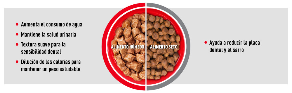 VENTAJAS DE LA ALIMENTACIÓN MIXTA