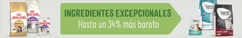 Concept for Life comida húmeda para gatos