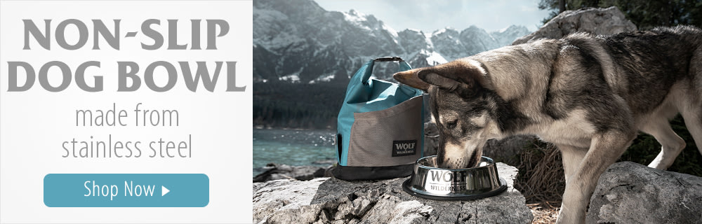 Wolf of Wilderness Stainless Steel Non-Slip Dog Bowl