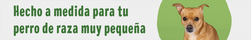 Otros perros de raza muy pequeña
