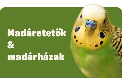 Állateledel & állatfelszerelés webáruház szuper árakkal | zooplus