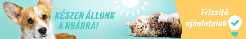 Nyár a zooplusnál!