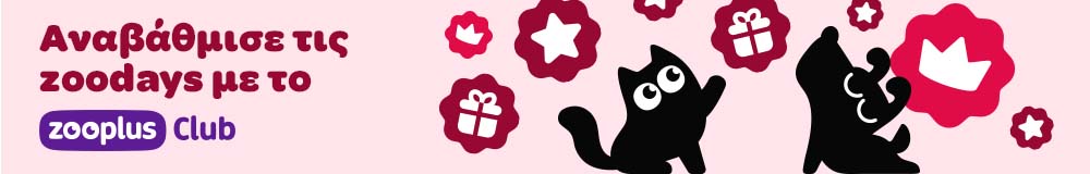 Αναβάθμισε τις zoodays με το zooplus Club