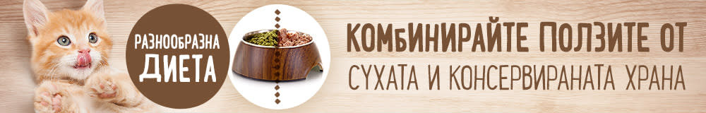 Открийте ползите на комбинираната диета!