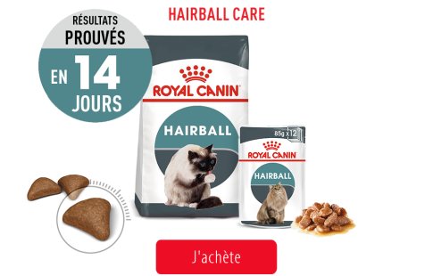 Royal Canin Feline Care Subpage - Grid Hairball Care Image