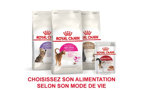 ROYAL CANIN BRAND PAGE - CAT Subpage - Grid Container - Product Line - Way of life image