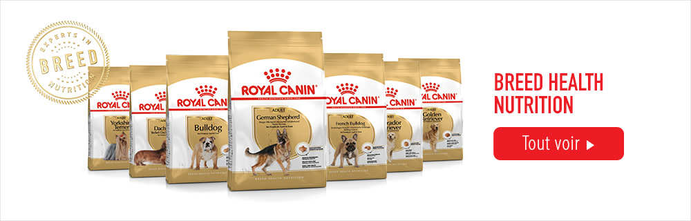 Croquettes Royal Canin Breed pour chien