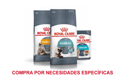Royal Canin comida para gatos con necesidades especiales