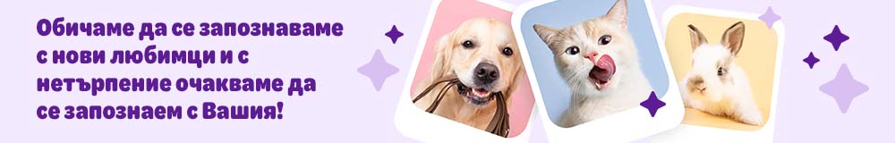Създайте профил на Вашия домашен любимец, за да получавате информация и персонализирани препоръки, пожелания за рожден ден и изключителни оферти за Вашия домашен приятел.