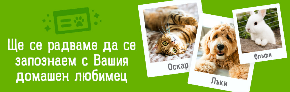 Създайте профил за Вашия домашен любимец за да получавате информация и персонализирани препоръки, пожелания за рожден ден и изключителни оферти за Вашия домашен приятел.