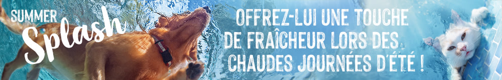 Offrez-lui une touche de fraîcheur lors des chaudes journées d'été !