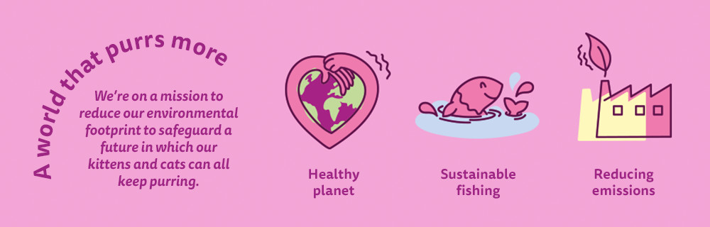 A world that purrs more