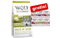 12 kg Wolf of Wilderness hrană uscată câini + 6 x 300 g tăvițe WoW gratis!