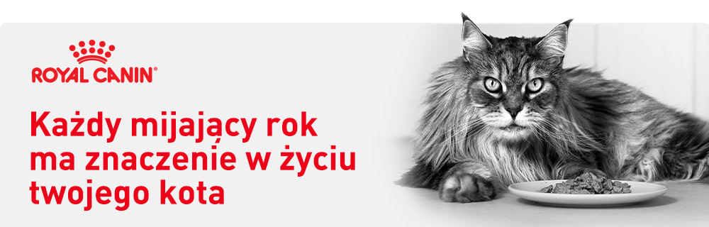 Każdy rok ma znaczenie dla zdrowego starzenia się