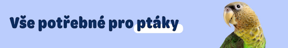 ptáci