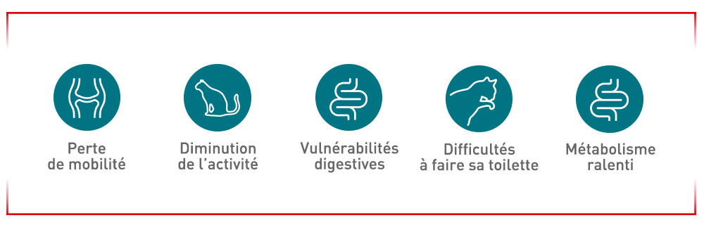 Les signes auxquels il faut faire attention