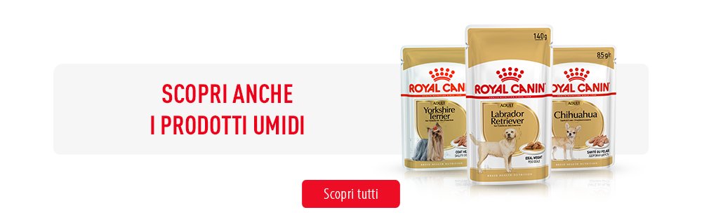 Alimenti umidi 