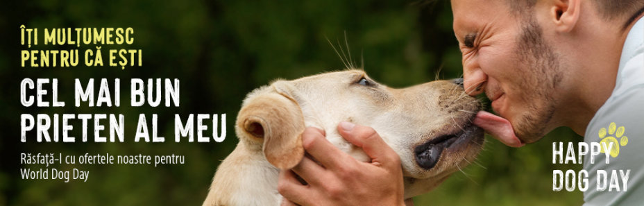Descoperă Ofertele noastre pentru Ziua Internațională a Câinelui!