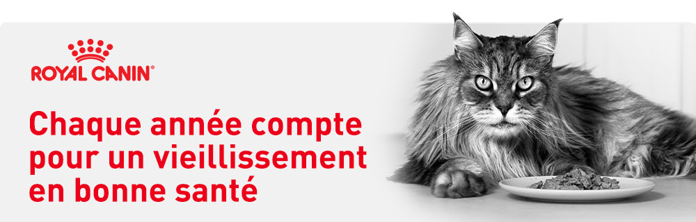 Chaque année compte pour bien vieillir