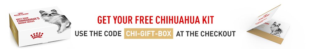 Get your FREE Royal Canin Chihuahua kit today