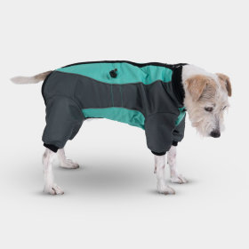 Manteaux et vêtements pour chien avec protection ventrale