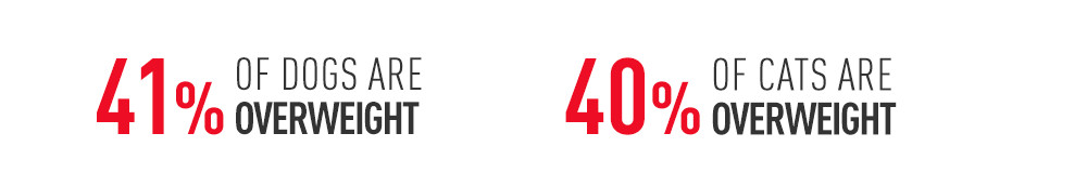 Royal Veterinary Weight Management