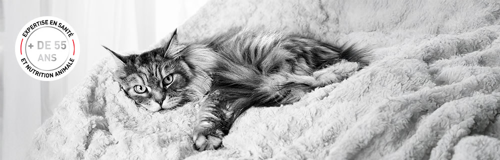 Plus de 55 ans d'expérience dans le domaine de la santé animale et de la science