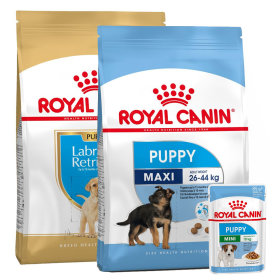 Nourriture Royal Canin pour chiot