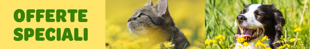 Scopri le offerte del momento da non perdere.