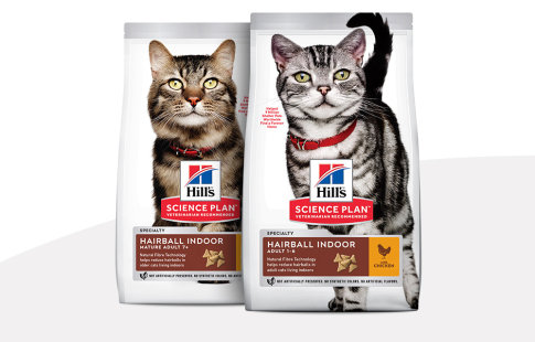 Hill's Science Plan Hairball & Indoor pour chat