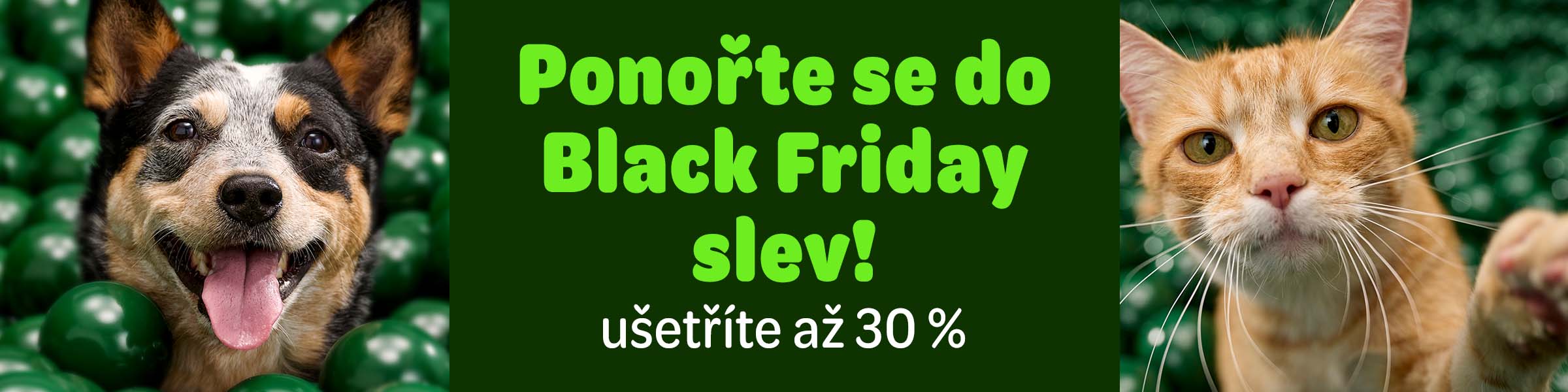 Objevte nejlepší nabídky roku.