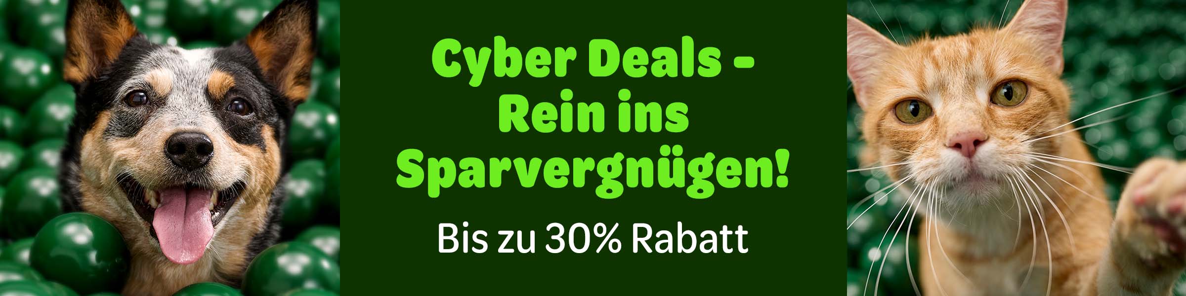 Entdecke die besten Deals des Jahres.