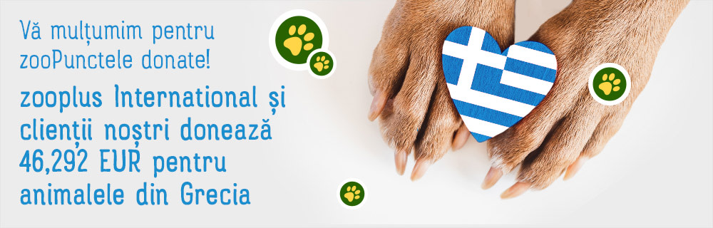 Sprijin de urgență  pentru incendiile din Grecia