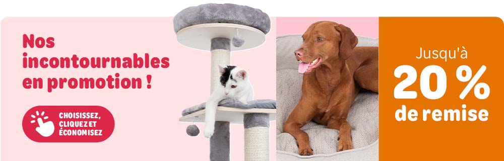 Choisissez, cliquez et économisez: Nos incontournables en promotion ! Jusqu'à 20% de remise.