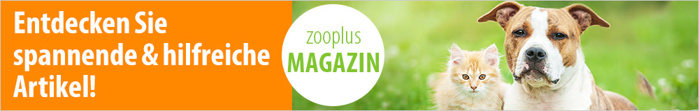 Jetzt interessante Artikel in unserem zooplus Magazin entdecken!
