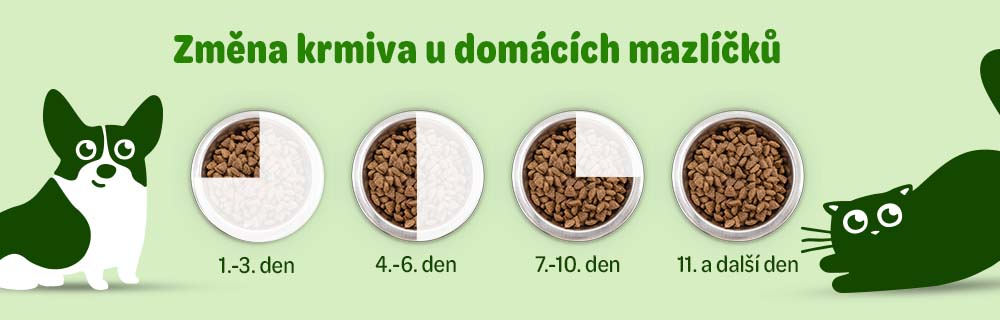 změna krmiva u domácích mazlíčků