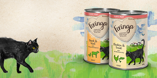 2023 12 Feringa TwinTeasers Wet 500x250 INT