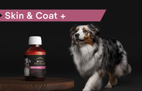 Pro Plan Supplemement Skin & Coat para perros