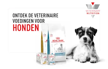 Royal Canin Veterinary Feline Recovery Mousse Kattenvoer ▻ Pak Je Voordeel Vandaag Nog